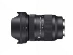 Panasonic Lumix G Vario 100-300mm f/4.0-5.6 ASPH Power O.I.S Mirrorless Lens Black - Imagen 5